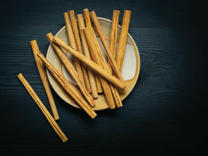 Ceylon cinnamon quills on a ceramic plate