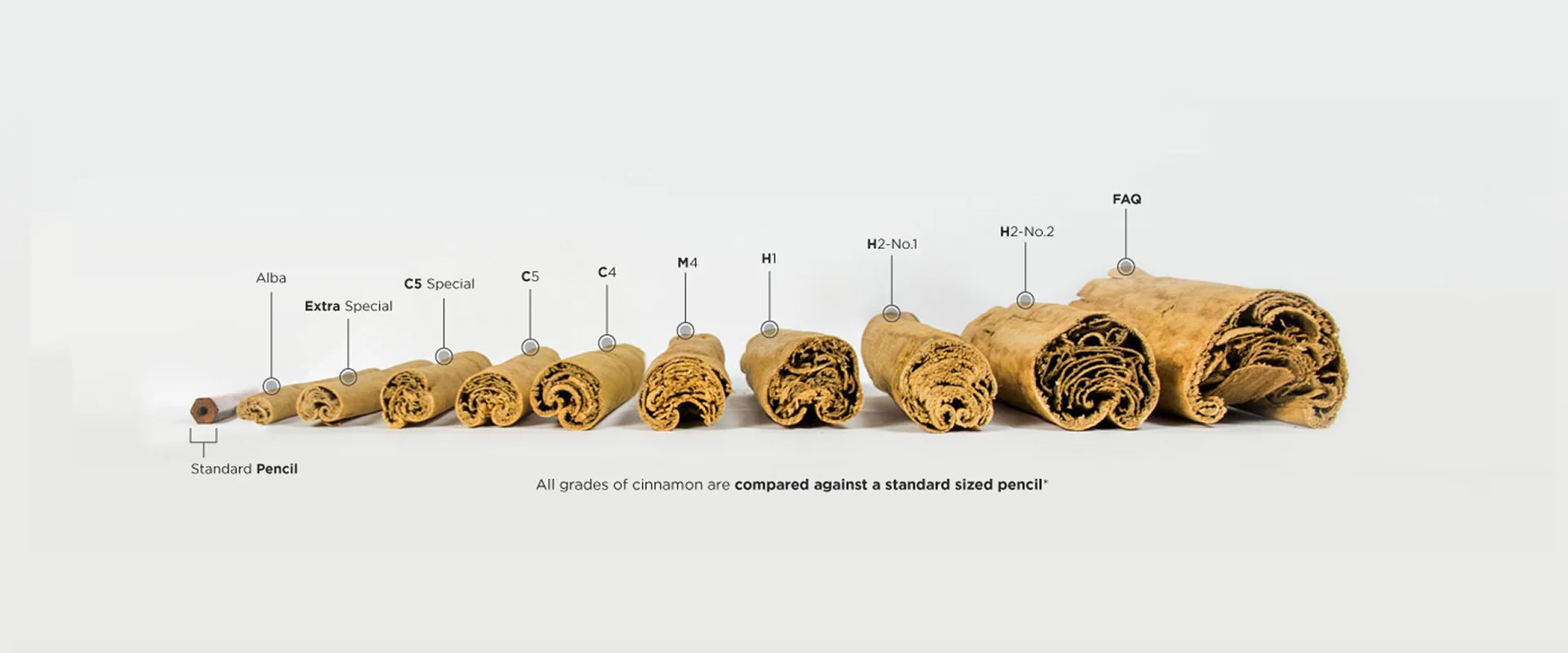 Labelled comparison of Ceylon cinnamon grades Alba, Extra Special, C5 Special, C5, C4, M4, H1, H2-No.1, H2-No.2 and FAQ beside a standard pencil