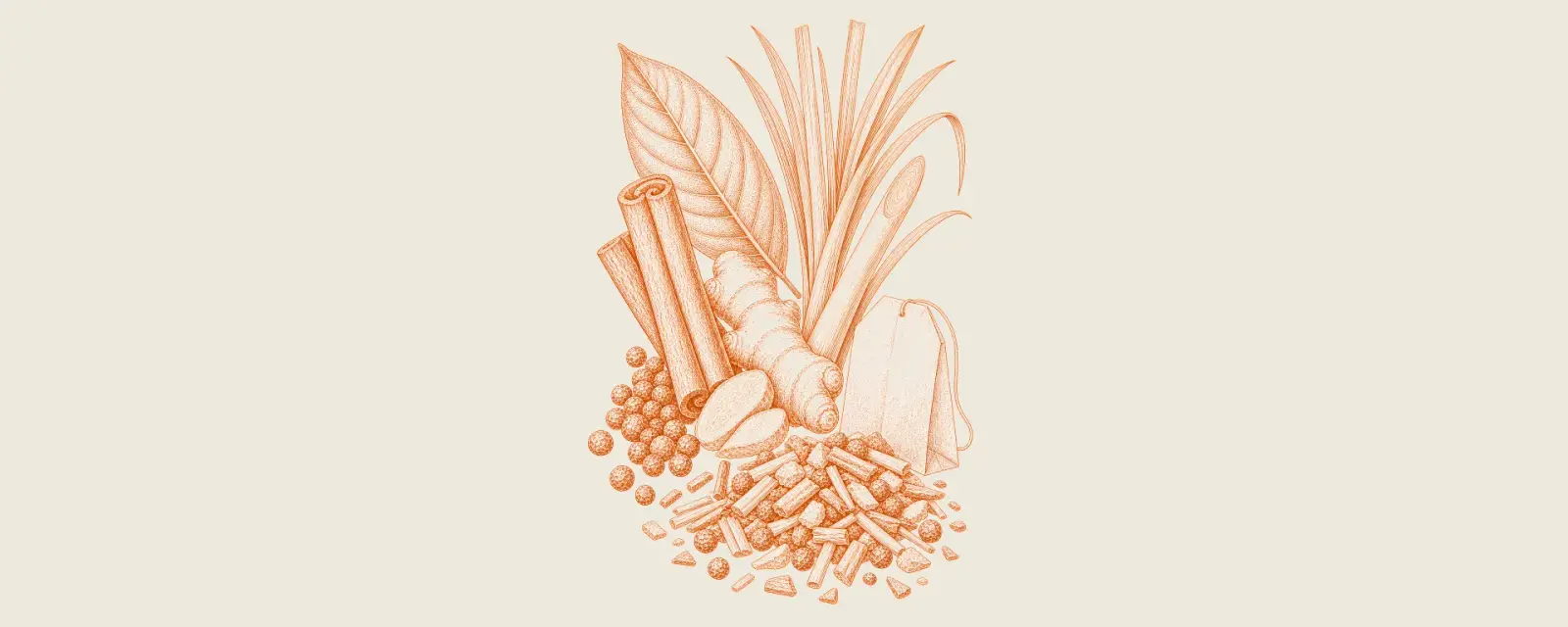 Botanical illustration of infusion spices, coarse cuts and an unbranded filter sachet